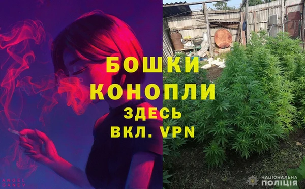 мет Касимов