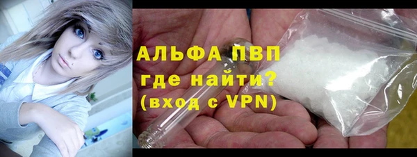 гидра Санкт-Петербург