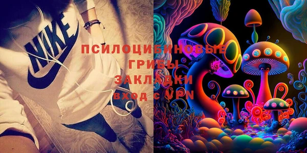 мет Касимов