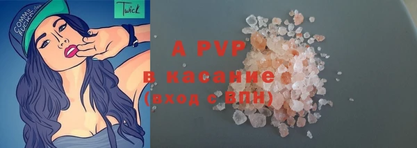 крисы Нестеровская