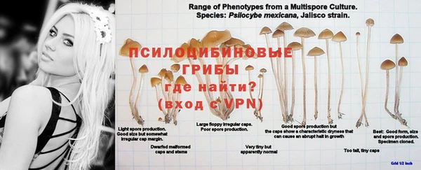 a pvp Карталы